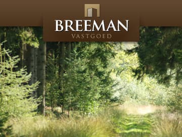 Breeman Vastgoed website