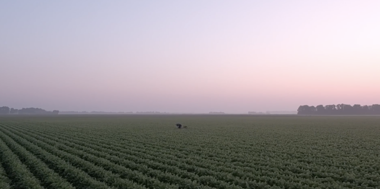 Uitgekookt telervideo